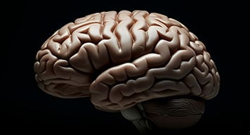 shadowbrain356x192